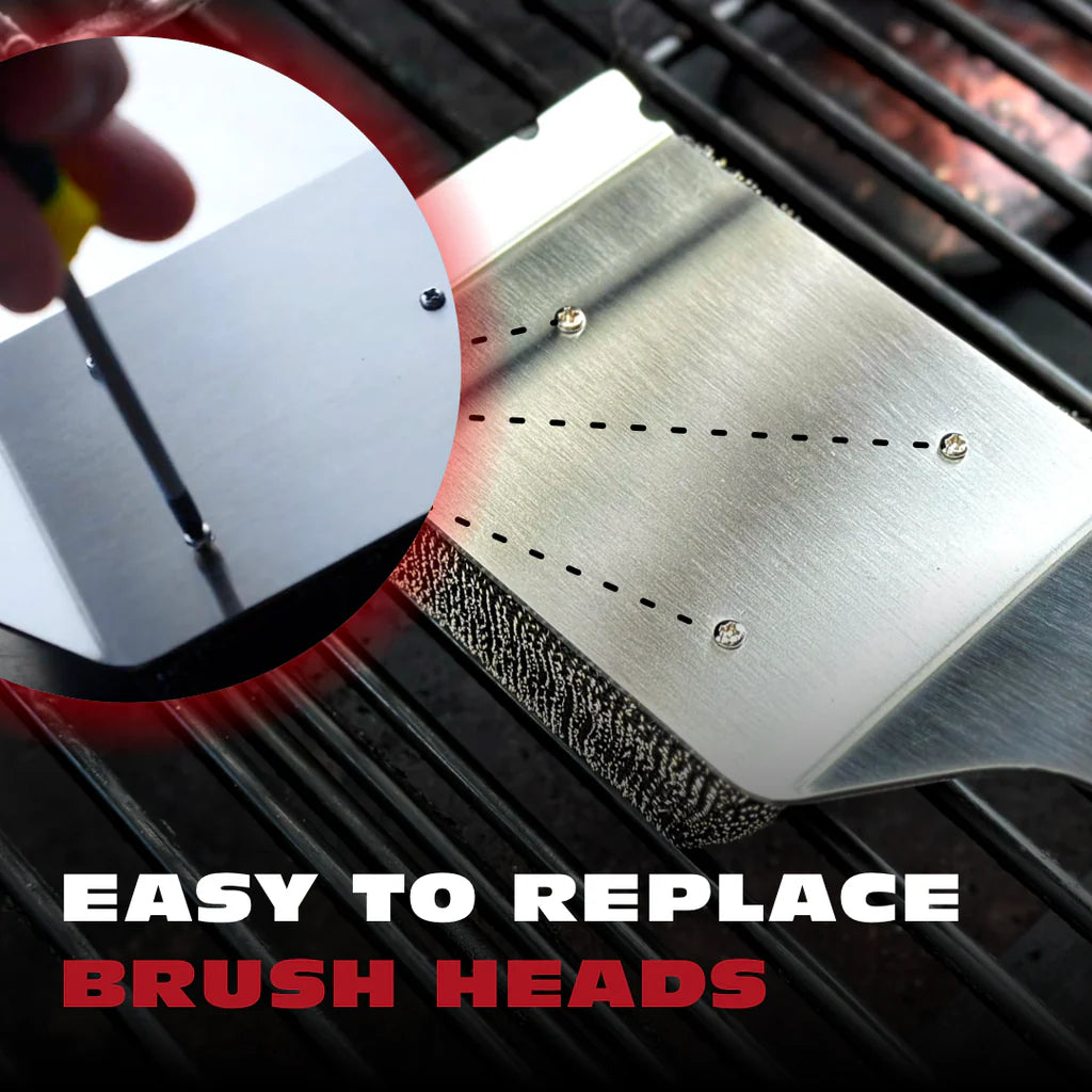 Bristle Free Brush + 2 Pack Replacement Heads